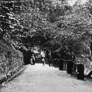 Lover's Walk, Centre Vale Park