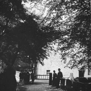 Lover's Walk, Centre Vale Park Woods