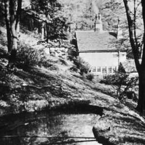 Lover's Walk, Centre Vale Park Woods