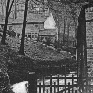 Carr Laithe, Centre Vale Park Woods