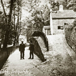 Carr Laithe, Centre Vale Park Woods