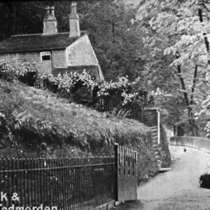 Carr Laithe, Centre Vale Park Woods