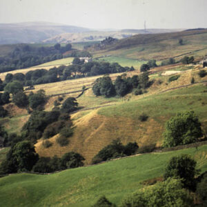 Farms in Stannally.