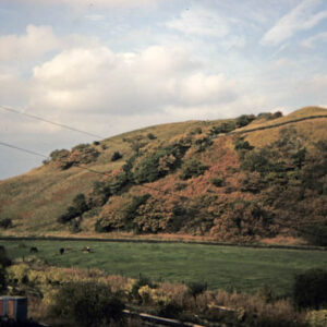 Dean Royd