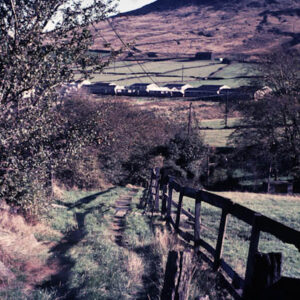 Packhorse Trail, near Shaw Wood Rd