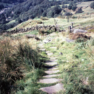 Packhorse Trail at Whirlaw