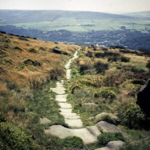Packhorse Trail at Whirlaw