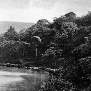 Folly Dam, Woodhouse