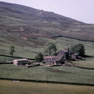 Horsewood farm