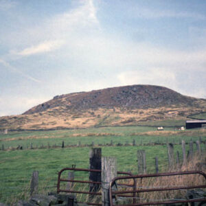 Whirlaw